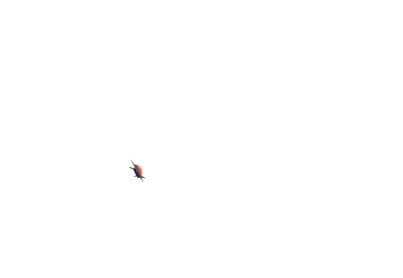 MainSpaceShip